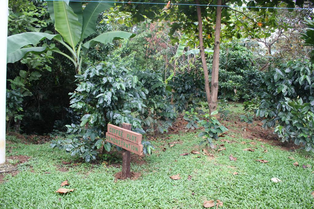 Coffee Mountain Inn Santa Fe  Bagian luar foto